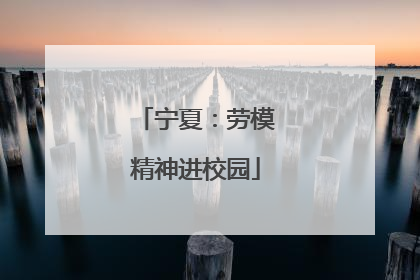 宁夏：劳模精神进校园